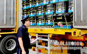Nga vừa b&aacute;n 220.000 ounce v&agrave;ng - Ảnh 3.