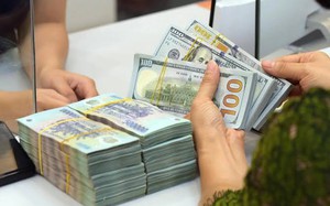 Cuộc sống của b&agrave; L&ecirc; Thị Thu Thủy sau khi rời Vingroup - Ảnh 2.