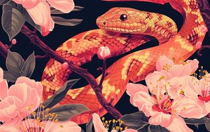 Điểm danh 4 con gi&aacute;p rũ sạch &aacute;p lực trong năm 2026: L&agrave;m chơi ăn thật, sự nghiệp thăng hoa ngỡ ng&agrave;ng - Ảnh 4.