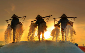 Biển ở Gia Lai xuất hiện dải nước n&acirc;u đỏ k&eacute;o d&agrave;i h&agrave;ng kilomet - Ảnh 2.