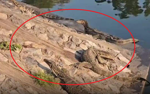 Cảnh tượng 5h s&aacute;ng ở Việt Nam khiến kh&aacute;ch T&acirc;y thốt l&ecirc;n: "Ch&uacute;ng t&ocirc;i thật sự th&iacute;ch điều n&agrave;y" - Ảnh 5.