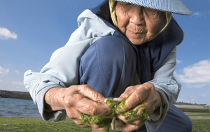 Vợ chồng Thạc sĩ bỏ phố về qu&ecirc; lập nghiệp "m&aacute;t-xa hoa dừa": Thu 30 tỷ/năm, xuất khẩu loạt nước lớn - Ảnh 2.