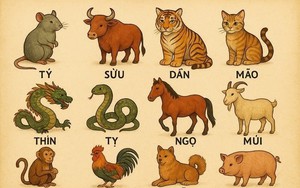 Tử vi tuổi Đinh Tỵ 1977 năm 2026 nữ mạng - Ảnh 2.