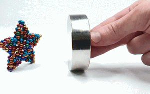 Ph&aacute;t hiện r&aacute;i c&aacute; v&agrave; chim hồng ho&agrave;ng cực kỳ qu&yacute; hiếm ở Vườn quốc gia Chư Mom Ray - Ảnh 3.