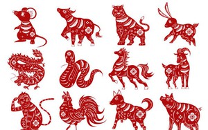 Chuy&ecirc;n gia phong thủy tiết lộ 4 ch&igrave;a kh&oacute;a để cải vận, trừ xui rủi: C&oacute; 3 điều ai cũng l&agrave;m được - Ảnh 4.