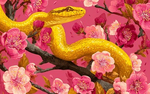 3 tuần nữa sẽ c&oacute; 2 con gi&aacute;p chia tay vận xui, bước v&agrave;o thời kỳ thuận lợi, 1 con gi&aacute;p lại cần thận trọng - Ảnh 4.