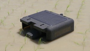 Gi&aacute; v&agrave;ng h&ocirc;m nay 6/3: Cắm đầu giảm, bạc diễn biến bất ngờ - Ảnh 3.