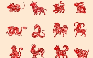 Quẹt thẻ mua tủ lạnh 23,4 triệu đồng, người phụ nữ cuối c&ugrave;ng mang nợ 254 triệu: Nhiều người cũng gặp t&igrave;nh trạng tương tự - Ảnh 2.