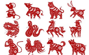 Mở đầu bằng &ldquo;k&iacute;nh thưa&rdquo; khi đi ăn với bạn Việt Nam, anh T&acirc;y khiến cả b&agrave;n tưởng đang dự hội nghị - Ảnh 2.