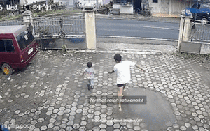 Sinh vật kỳ b&iacute;: Lo&agrave;i rồng thực sự sống l&acirc;u v&agrave; nhịn đ&oacute;i 10 năm - Ảnh 5.