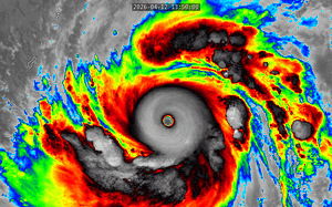 Người d&acirc;n đổ x&ocirc; v&agrave;o rừng bắt ve sầu, thu tiền triệu mỗi đ&ecirc;m - Ảnh 6.