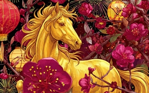 Lời khuy&ecirc;n đến những gia đ&igrave;nh đang trồng hoa giấy - Ảnh 3.