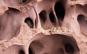 Kh&ocirc;ng phải Nga hay Ph&aacute;p, đ&acirc;y mới l&agrave; quốc gia sở hữu c&ocirc;ng suất điện hạt nh&acirc;n "số 1 thế giới" - Ảnh 2.