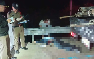 4 loại c&acirc;y vừa đuổi rắn lại c&oacute; khả năng trấn trạch, xua đuổi t&agrave; kh&iacute; bảo vệ gia chủ - Ảnh 5.