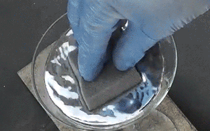 Nghe tiếng động lạ trong vườn, người d&acirc;n ph&aacute;t hiện lo&agrave;i vật qu&yacute; hiếm nặng 300g, thuộc s&aacute;ch đỏ Việt Nam - Ảnh 2.