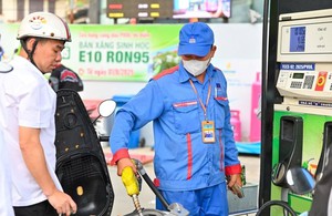 Lời giải cho nỗi lo xăng E10: Kh&ocirc;ng Ch&iacute;nh phủ n&agrave;o lại đi bơm "m&aacute;u bẩn" v&agrave;o nền kinh tế - Ảnh 3.