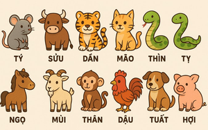 Người xưa dặn: Trước cửa c&oacute; 3 c&acirc;y n&agrave;y chẳng kh&aacute;c n&agrave;o giữ b&aacute;u vật trong nh&agrave;, t&agrave;i lộc tụ về, con ch&aacute;u dễ th&agrave;nh đạt - Ảnh 3.