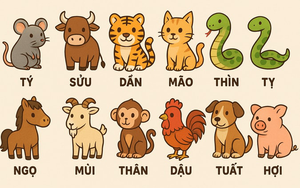 Lời khuy&ecirc;n cho 3 con gi&aacute;p may mắn nhất th&aacute;ng 5 &acirc;m - Ảnh 4.