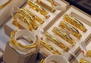 V&agrave;o c&ugrave;ng một ng&agrave;y trong 2 năm: Nh&agrave; m&aacute;y điện hạt nh&acirc;n Ph&aacute;p t&ecirc; liệt v&igrave; h&agrave;ng loạt sinh vật mềm nhũn tấn c&ocirc;ng - Ảnh 2.