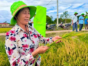 Phường Hai B&agrave; Trưng đ&aacute;nh thức &ldquo;l&aacute; phổi xanh&rdquo; giữa l&ograve;ng Thủ đ&ocirc; - Ảnh 6.