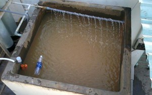M&aacute;i t&ocirc;n bị gỉ s&eacute;t n&ecirc;n l&agrave;m g&igrave; đầu ti&ecirc;n? - Ảnh 1.