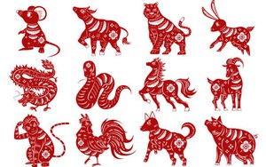 Lời khuy&ecirc;n cho 3 con gi&aacute;p may mắn nhất trong ng&agrave;y Chủ nhật, 13/9 - Ảnh 4.