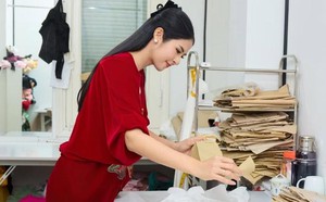 Thu nhập của Ho&agrave;ng Th&ugrave;y Linh - Ảnh 2.