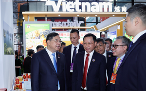 Việt Nam vừa c&oacute; một phường mới rộng gần 60 km2, t&ecirc;n chỉ vỏn vẹn đ&uacute;ng một từ đơn - Ảnh 3.