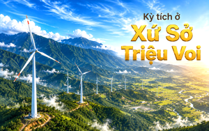 C&ocirc;ng nghệ thu hồi đến 90% dinh dưỡng từ nước thải: RetriV viết n&ecirc;n kỳ t&iacute;ch từ vỏ t&ocirc;m - Ảnh 2.