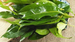 Quảng Ch&acirc;u - đ&ocirc; thị th&iacute;ch ứng với d&ograve;ng s&ocirc;ng - Ảnh 3.