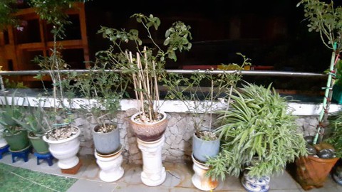 Không gian sống tuyệt đẹp của nhạc sĩ Trần Tiến ở Vũng Tàu - Ảnh 10. Không gian sống tuyệt đẹp của nhạc sĩ Trần Tiến ở Vũng Tàu - Ảnh 10.