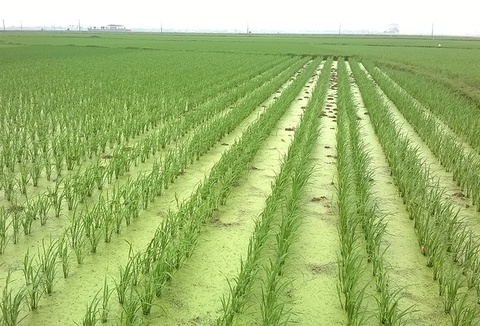 2 tên trộm hòa vào dòng người đi nghe giảng về phật pháp và hồi kết rất cay cho những kẻ tự cho mình là thông minh - Ảnh 2. 2 tên trộm hòa vào dòng người đi nghe giảng về phật pháp và hồi kết rất cay cho những kẻ tự cho mình là thông minh - Ảnh 2.