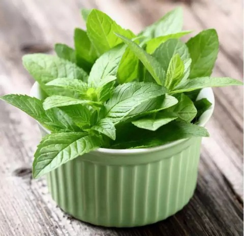 Ướp hương cho phòng tắm thơm phức với 7 tuyệt chiêu đơn giản, đảm bảo mùi sang chảnh như khách sạn 5 sao - Ảnh 8. Ướp hương cho phòng tắm thơm phức với 7 tuyệt chiêu đơn giản, đảm bảo mùi sang chảnh như khách sạn 5 sao - Ảnh 8.