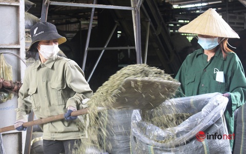 Lão nông đánh thức vùng đất khó, thu nhập chục tỷ mỗi năm - Ảnh 2. Lão nông đánh thức vùng đất khó, thu nhập chục tỷ mỗi năm - Ảnh 2.