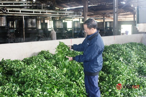 Lão nông đánh thức vùng đất khó, thu nhập chục tỷ mỗi năm - Ảnh 4. Lão nông đánh thức vùng đất khó, thu nhập chục tỷ mỗi năm - Ảnh 4.