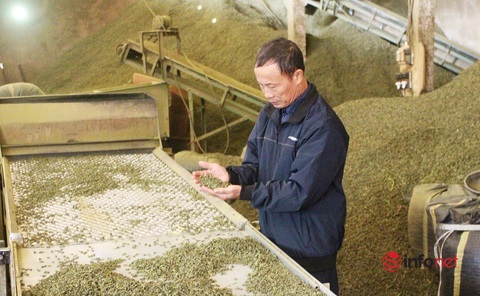 Lão nông đánh thức vùng đất khó, thu nhập chục tỷ mỗi năm - Ảnh 6. Lão nông đánh thức vùng đất khó, thu nhập chục tỷ mỗi năm - Ảnh 6.