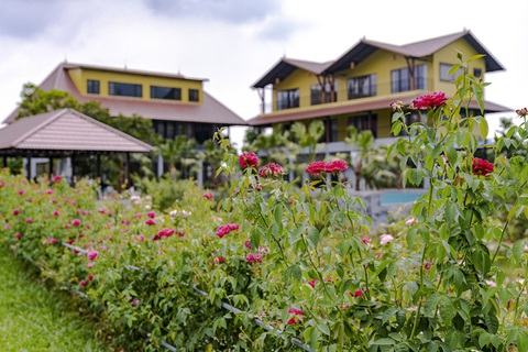 Vì đam mê và thích tụ tập, người phụ nữ này mua 6000m2 đất ở Ba Vì xây cả một resort mini sang chảnh để tận hưởng cuộc sống nghỉ dưỡng cho gia đình - Ảnh 9. Vì đam mê và thích tụ tập, người phụ nữ này mua 6000m2 đất ở Ba Vì xây cả một resort mini sang chảnh để tận hưởng cuộc sống nghỉ dưỡng cho gia đình - Ảnh 9.