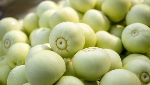 Mẹo hay chọn dưa lê ngon ngọt không bao giờ bị đắng - Ảnh 1. Mẹo hay chọn dưa lê ngon ngọt không bao giờ bị đắng - Ảnh 1.