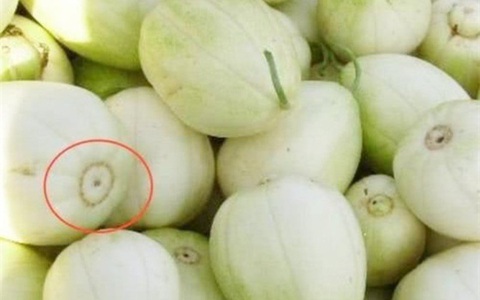 Mẹo hay chọn dưa lê ngon ngọt không bao giờ bị đắng - Ảnh 2. Mẹo hay chọn dưa lê ngon ngọt không bao giờ bị đắng - Ảnh 2.