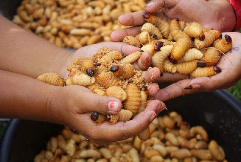 Giật mình trước những món ăn bề ngoài kinh dị nhưng cực ngon của Việt Nam - Ảnh 7. Giật mình trước những món ăn bề ngoài kinh dị nhưng cực ngon của Việt Nam - Ảnh 7.