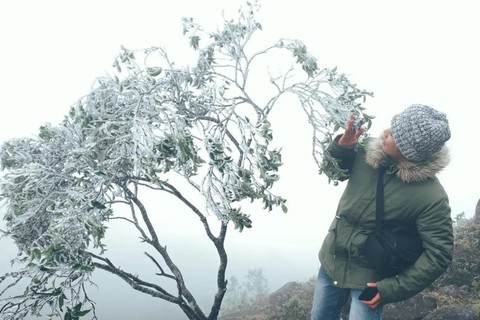Khám phá Bình Liêu - “Sapa thu nhỏ” với loạt địa điểm hoang sơ đẹp choáng ngợp giữa lòng Quảng Ninh - Ảnh 7. Khám phá Bình Liêu - “Sapa thu nhỏ” với loạt địa điểm hoang sơ đẹp choáng ngợp giữa lòng Quảng Ninh - Ảnh 7.