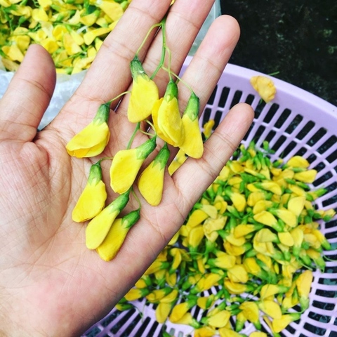 Đến miền Tây mùa nước nổi mà không thử đặc sản hoa dại này thì phí mất chuyến đi - Ảnh 2. Đến miền Tây mùa nước nổi mà không thử đặc sản hoa dại này thì phí mất chuyến đi - Ảnh 2.