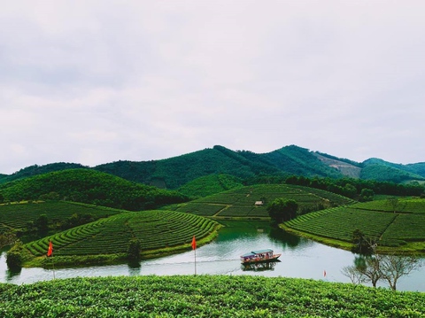 Đến Nghệ An, đừng quên check-in với đảo chè độc đáo nổi giữa bốn bề sông nước - Ảnh 5. Đến Nghệ An, đừng quên check-in với đảo chè độc đáo nổi giữa bốn bề sông nước - Ảnh 5.