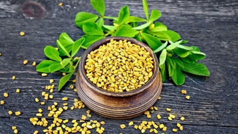 Những loại thảo dược nuôi dưỡng tóc hiệu quả sau tuổi 30 - Ảnh 5. Những loại thảo dược nuôi dưỡng tóc hiệu quả sau tuổi 30 - Ảnh 5.