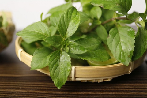 Những loại thảo dược nuôi dưỡng tóc hiệu quả sau tuổi 30 - Ảnh 4. Những loại thảo dược nuôi dưỡng tóc hiệu quả sau tuổi 30 - Ảnh 4.