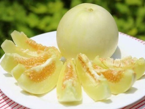 Dưa lê: Thần dược tốt đủ đường cho sức khoẻ - Ảnh 1. Dưa lê: Thần dược tốt đủ đường cho sức khoẻ - Ảnh 1.