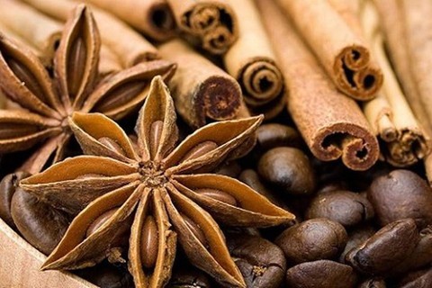 Loại gia vị được mệnh danh là Tứ bảo của Đông y, trị bệnh hay dưỡng nhan đều xuất sắc - Ảnh 1. Loại gia vị được mệnh danh là Tứ bảo của Đông y, trị bệnh hay dưỡng nhan đều xuất sắc - Ảnh 1.