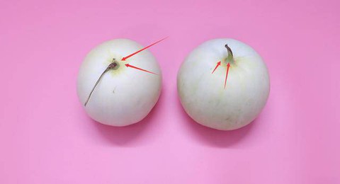 Mua dưa lê, chọn quả rốn to hay nhỏ thì ngọt, người trồng mách bí kíp ít người biết - Ảnh 5. Mua dưa lê, chọn quả rốn to hay nhỏ thì ngọt, người trồng mách bí kíp ít người biết - Ảnh 5.
