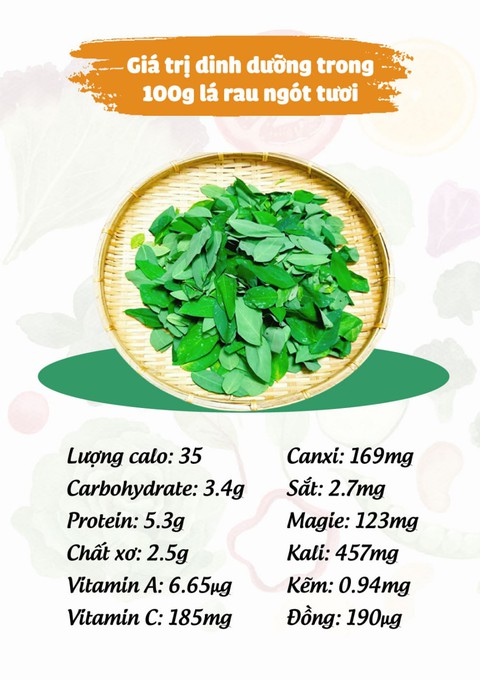 Loại rau quen thuộc trong bữa cơm ngày hè, tốt cho tim mạch, ổn định đường huyết hiệu quả - Ảnh 1. Loại rau quen thuộc trong bữa cơm ngày hè, tốt cho tim mạch, ổn định đường huyết hiệu quả - Ảnh 1.