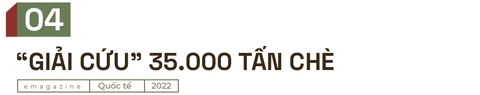 Vị Đại sứ Việt Nam bảo lãnh Iraq “mua chịu” gạo và cuộc đàm phán dưới màn tên lửa - Ảnh 12.
